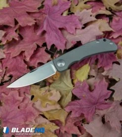 Chris Reeve Impinda Slip Joint Knife Titanium (3.2" Stonewash) -Chris Reeve Knives Shop Chris Reeve Impinda Slip Joint Knife Titanium Stonewash BHQ 85511 kp fall leaves web
