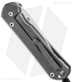 Chris Reeve Large Sebenza 21 Knife CGG Doppler (3.5" Stonewash) -Chris Reeve Knives Shop Chris Reeve Large Sebenza 21 CGG Doppler SW L21 1246 BHQ 92524 jr side