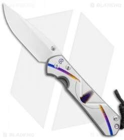 Chris Reeve Large Sebenza 31 Knife Unique Graphic Beehive (3.6" Satin)