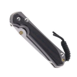 Chris Reeve Large Sebenza 31 Folding Knife Glass Blasted Titanium & Bog Oak MagnaCut Drop Point L31-1124 -Chris Reeve Knives Shop LARGE SEBENZA 31 INLAY L31 1124 BOG OAK 01 71073.1755546681