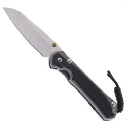 Chris Reeve Large Sebenza 31 Folding Knife Glass Blasted Titanium & Bog Oak MagnaCut Drop Point L31-1124