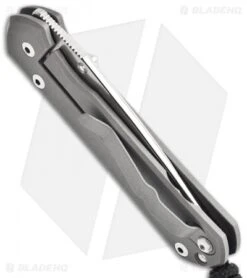 Chris Reeve Small Sebenza 21 Knife Riddled CGG (2.94" Plain) -Chris Reeve Knives Shop chris reeve smal sebenza 21 cgg raindrop side